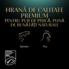 Sheba Hrană umedă pentru pisici junioare, selecție mixtă în sos 4 x 85 g