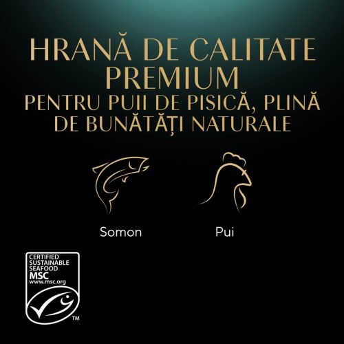 Sheba Hrană umedă pentru pisici junioare, selecție mixtă în sos 4 x 85 g