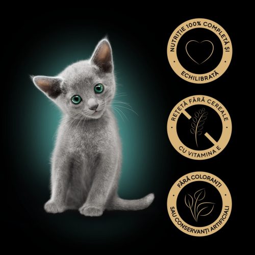 Sheba Hrană umedă pentru pisici junioare, selecție mixtă în sos 4 x 85 g