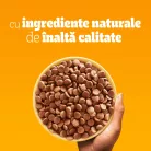 Pedigree Hrană uscată cu pasăre și legume pentru câini adulți de talie mică 2 kg