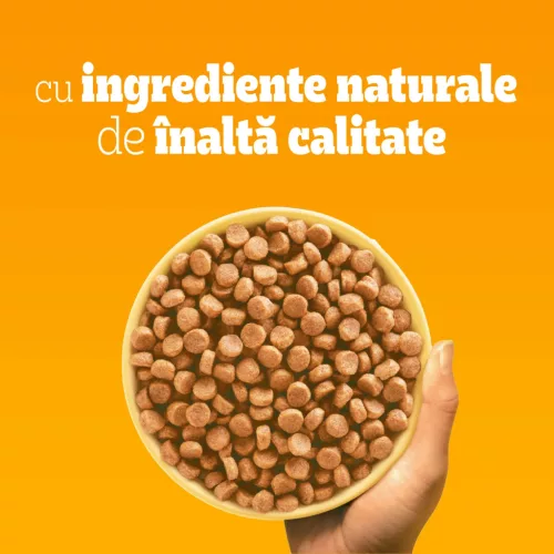 Pedigree Hrană uscată cu pasăre și legume pentru câini juniori 500 g