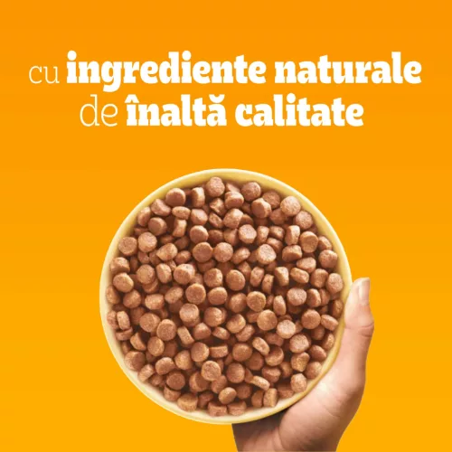Pedigree Hrană uscată cu pasăre și legume pentru câini juniori de talie mică 500 g