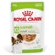 Royal Canin X-Small Adult Hrană umedă pentru câini, în sos 85 g