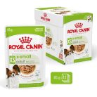 Royal Canin X-Small Adult Hrană umedă pentru câini, în sos 85 g