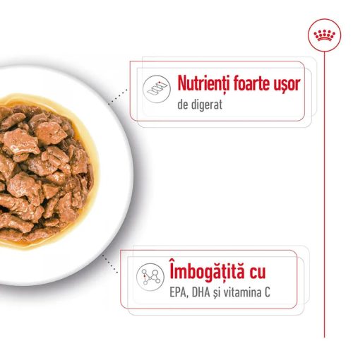 Royal Canin X-Small Adult Hrană umedă pentru câini, în sos 85 g