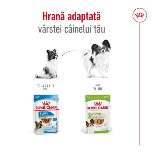 Royal Canin X-Small Adult Hrană umedă pentru câini, în sos 85 g