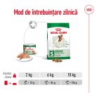 Royal Canin Mini Adult Hrană umedă pentru câini 195 g 