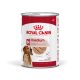 Royal Canin Medium Adult Hrană umedă pentru câini 140 g