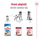 Royal Canin Medium Adult Hrană umedă pentru câini 140 g