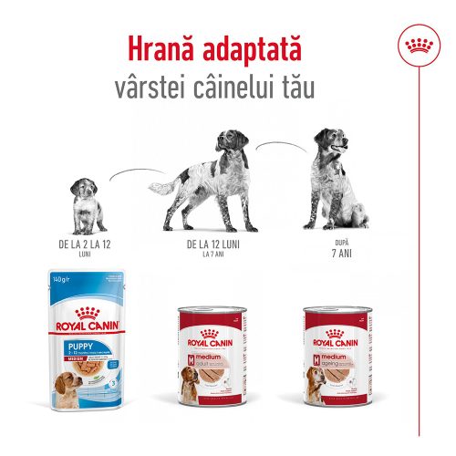 Royal Canin Medium Adult Hrană umedă pentru câini 140 g
