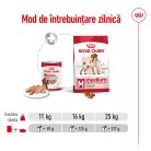 Royal Canin Medium Adult Hrană umedă pentru câini 140 g