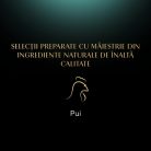 Sheba Hrană umedă pentru pisici adulte, cu pui în sos 85 g