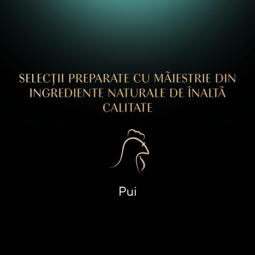 Sheba Hrană umedă pentru pisici adulte, cu pui în sos 85 g