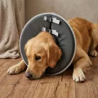 Take Care Guler de protecție S