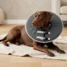 Take Care Guler de protecție M