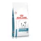 Royal Canin Veterinary Anallergenic Hrană uscată pentru câini adulţi de talie mică 1,5 kg