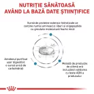 Royal Canin Veterinary Anallergenic Hrană uscată pentru câini adulţi de talie mică 1,5 kg