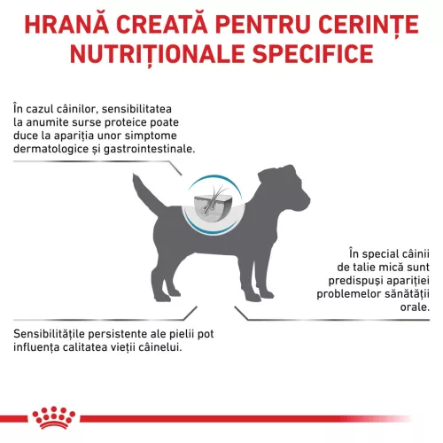 Royal Canin Veterinary Anallergenic Hrană uscată pentru câini adulţi de talie mică 1,5 kg