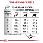 Royal Canin Veterinary Anallergenic Hrană uscată pentru câini adulţi de talie mică 1,5 kg