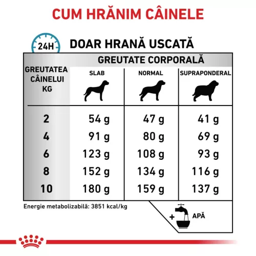 Royal Canin Veterinary Anallergenic Hrană uscată pentru câini adulţi de talie mică 1,5 kg