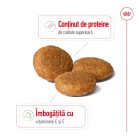 Royal Canin Medium Adult Hrană uscată pentru câini 12 kg
