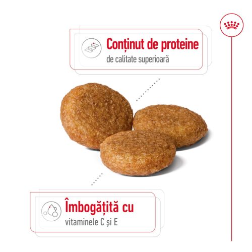Royal Canin Medium Adult Hrană uscată pentru câini 12 kg