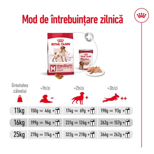 Royal Canin Medium Adult Hrană uscată pentru câini 12 kg