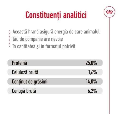 Royal Canin Medium Adult Hrană uscată pentru câini 12 kg