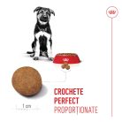 Royal Canin Maxi Puppy Hrană uscată pentru câini junior 12 kg