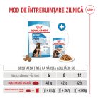 Royal Canin Maxi Puppy Hrană uscată pentru câini junior 12 kg