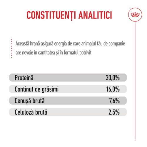 Royal Canin Maxi Puppy Hrană uscată pentru câini junior 12 kg