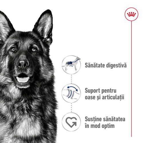 Royal Canin Maxi Adult Hrană uscată pentru câini 12 kg