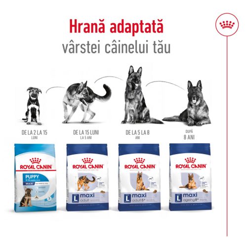 Royal Canin Maxi Adult Hrană uscată pentru câini 12 kg