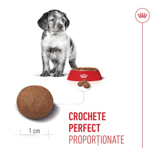 Royal Canin Medium Puppy Hrană uscată pentru câini junior 3 kg