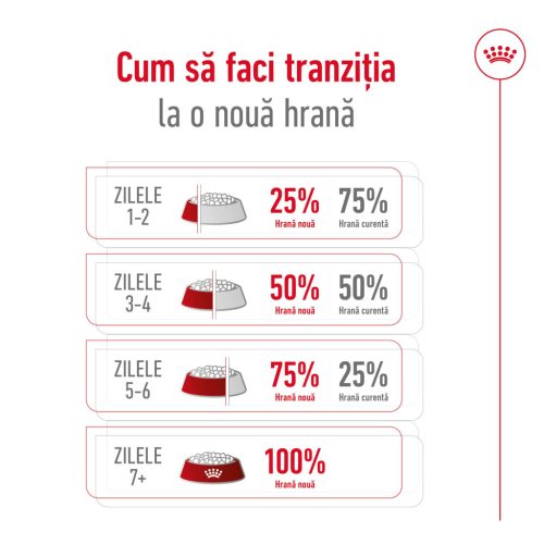Royal Canin Medium Adult Hrană uscată pentru câini 3 kg 