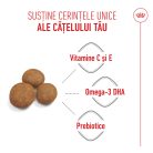 Royal Canin® Maxi Puppy Hrană uscată pentru câini junior 3 kg