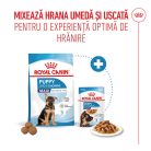 Royal Canin® Maxi Puppy Hrană uscată pentru câini junior 3 kg