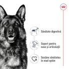 Royal Canin Maxi Adult Hrană uscată pentru câini 3 kg