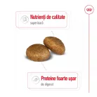 Royal Canin Maxi Adult Hrană uscată pentru câini 3 kg
