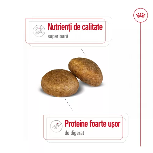 Royal Canin Maxi Adult Hrană uscată pentru câini 3 kg