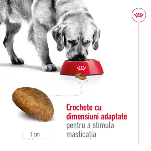 Royal Canin Maxi Adult Hrană uscată pentru câini 3 kg