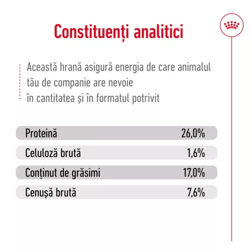 Royal Canin Maxi Adult Hrană uscată pentru câini 3 kg