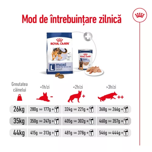Royal Canin Maxi Adult Hrană uscată pentru câini 3 kg