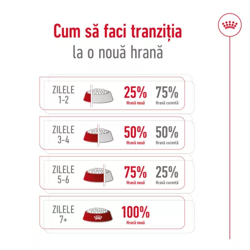 Royal Canin Maxi Adult Hrană uscată pentru câini 3 kg
