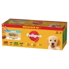 Pedigree Hrană umedă pentru câini junior, selecții de carne în aspic 40 x 100 g