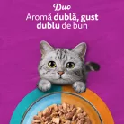 Whiskas Duo Hrană umedă pentru pisici adulte, selecții de pește și carne 12 x 85 g
