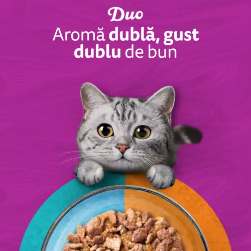 Whiskas Duo Hrană umedă pentru pisici adulte, selecții de pește și carne 12 x 85 g