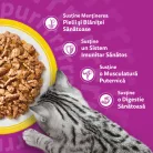 Whiskas Hrană umedă pentru pisici adulte, mix pasăre în aspic 120 x 85 g