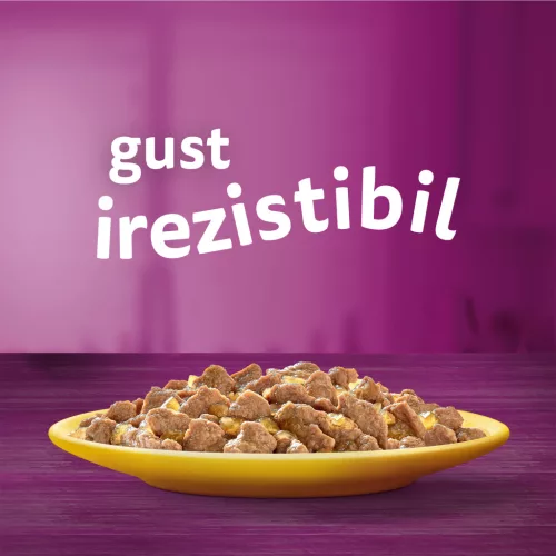 Whiskas Hrană umedă pentru pisici adulte, mix pasăre în aspic 120 x 85 g