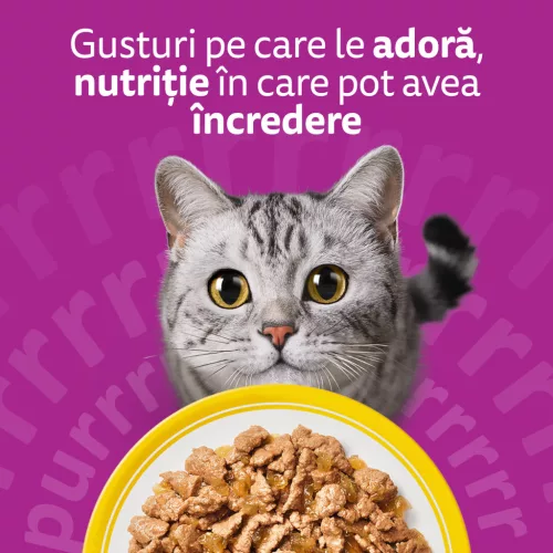 Whiskas Hrană umedă pentru pisici adulte, mix pasăre în aspic 120 x 85 g